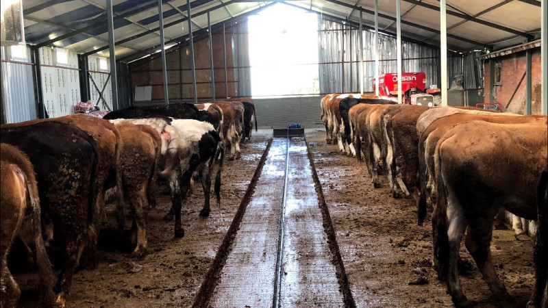 Ödemiş’te ahır, 26 Milyon TL bedelle icradan satışa sunuldu