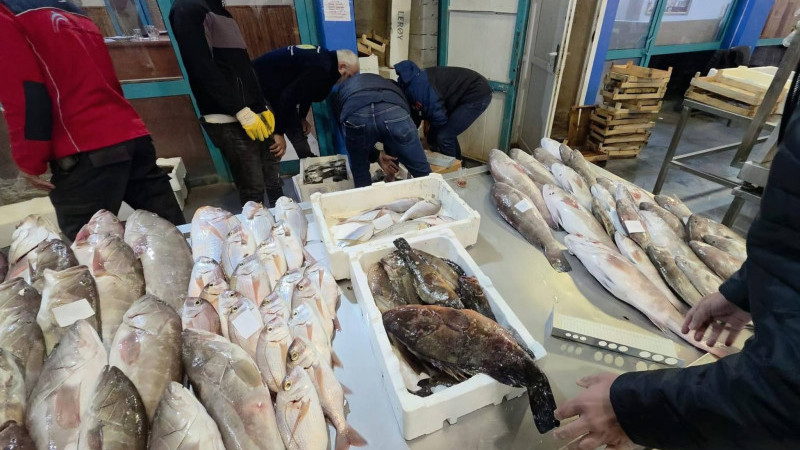 İzmir'de su ürünleri denetimi: 45 kilogram kaçak balığa el konuldu